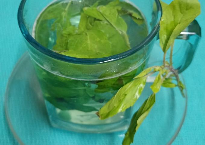 Tulsi Water Holy Basil Indian Basil Recipe by Bina Samir