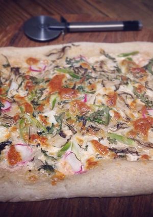 A picture of No-knead slow-rise sourdough pizza dough.