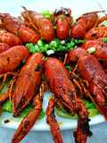 Sichuan Mini Lobster