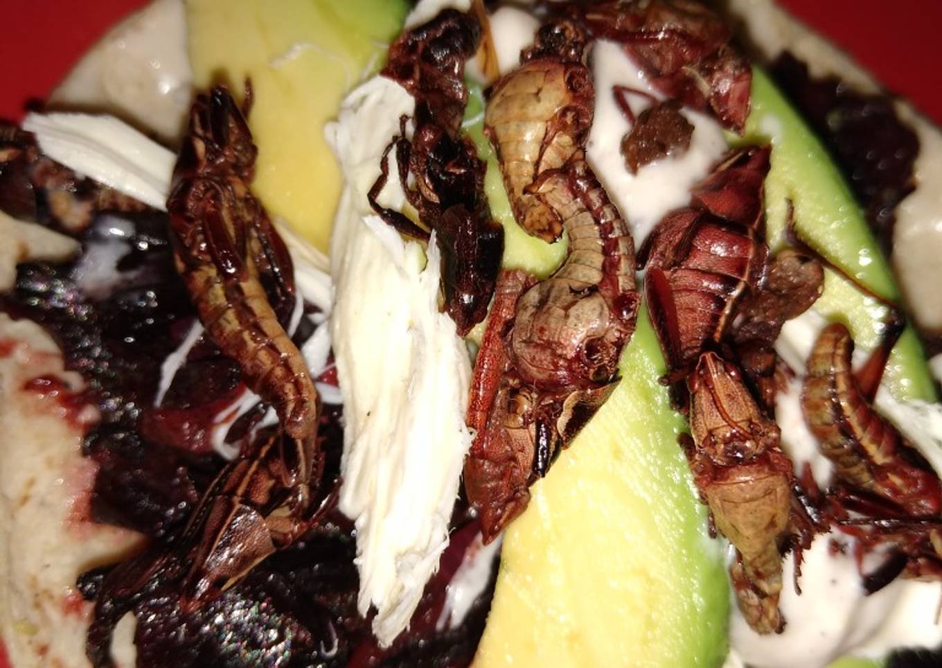 Taco de jamaica con chapulines