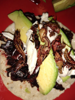 Una foto de Taco de jamaica con chapulines