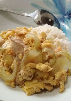 Foto resep Chicken and Egg Gyudon
