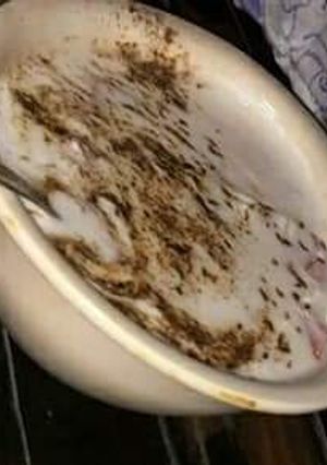 A picture of Masala curd.