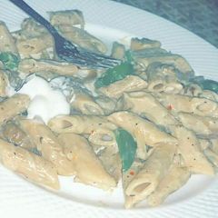 A picture of White sauce pasta.