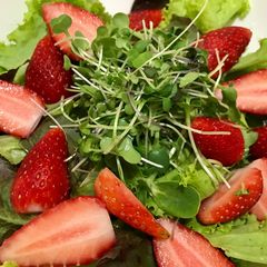 A picture of Micro green strawberry salad.