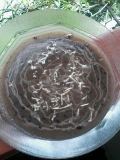 Foto resep bubur ketan hitam nyuuus maknyuus
