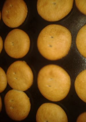 Una foto de Tortita raspadita mendocina 