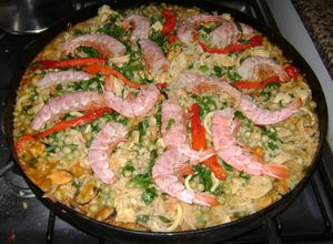 Una foto de Paella al disco de arado