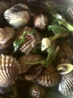 Foto resep Pindang Kerang Dara