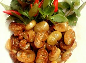 Hình của món Cà muối chua xào  (món mẹ chồng tôi)                         .