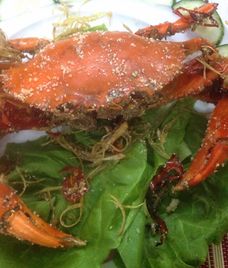 cua biển rang muối