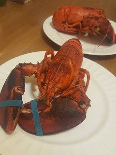 A picture of Lobster.
