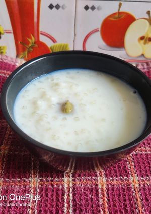 A picture of Sabudana Kheer.