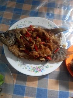 Foto resep Gurame saus tiram