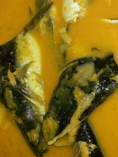 Foto resep Gulai Tempoyak Ikan Patin Khas Pagaralam