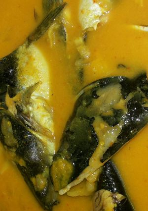 Foto resep Gulai Tempoyak Ikan Patin Khas Pagaralam