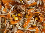 Una foto de pollo tahini