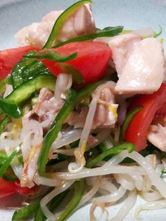 A picture of Chicken and Green Pepper Salad.