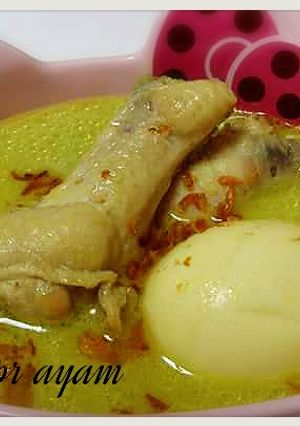 Foto resep opor ayam
