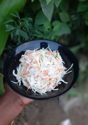 A picture of Coleslaw.