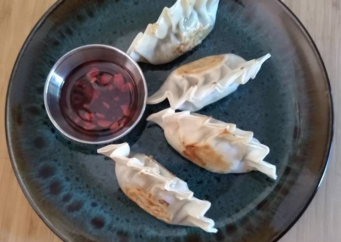 Pan-Seared Dumplings