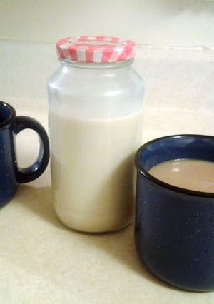 A picture of French Vanilla Coffee Creamer.
