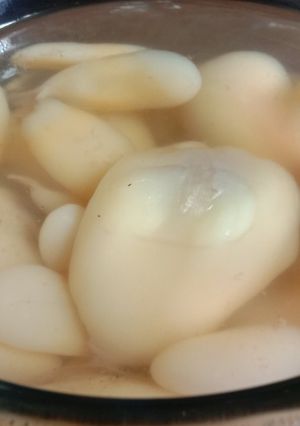 Foto resep Setup Salak