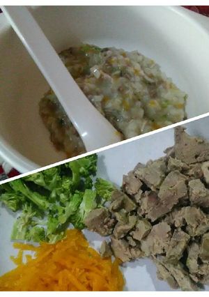 Foto resep MPASI 9m+ Bubur Sayur Ati ayam