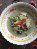 Vegetables with thin coconut milk gravy (SAYUR BOBOR)
