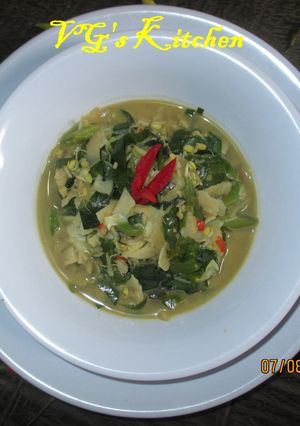 A picture of Melinjo Leaves with Coconut Milk (SAYUR GANEMO).