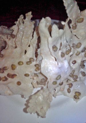 Foto resep Rempeyek kacang hijau