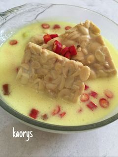 Foto resep Lodeh Tempe