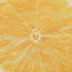 A picture of Lemon Syrup | Winter with Lemons | A Fresh & Flavorful Citrus Spice 🍋.