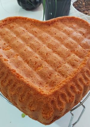 عکسی از دستور کیک کاسترد
