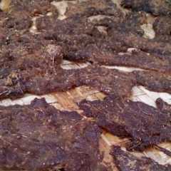 รูปของ Dendeng Daging Sapi