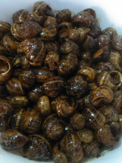 Una foto de Caracoles fritos