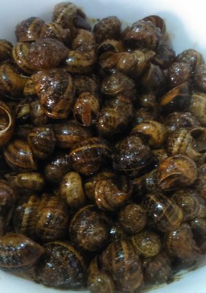 Una foto de Caracoles fritos