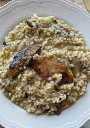 A picture of Porcini Mushroom Risotto.