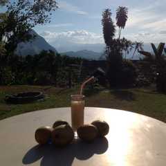 Una foto de Licor cremoso con aroma y sabor del café Colombiano