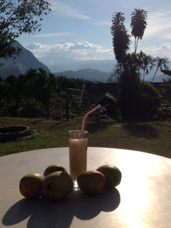 Una foto de Licor cremoso con aroma y sabor del café Colombiano
