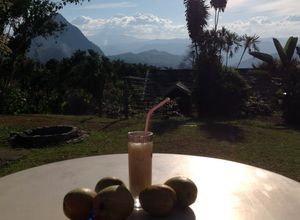 Una foto de Licor cremoso con aroma y sabor del café Colombiano