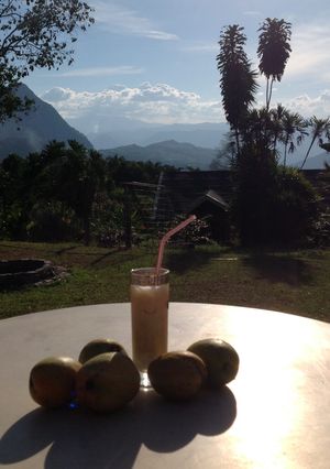 Una foto de Licor cremoso con aroma y sabor del café Colombiano