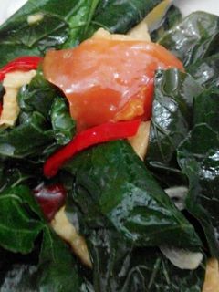 Foto resep Cah Tahu Kailan