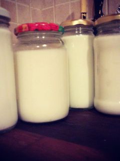 Una foto de Yogur