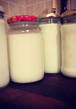 Una foto de Yogur