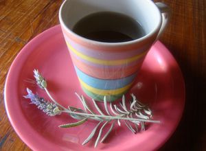 Una foto de Té relajante de Lavanda