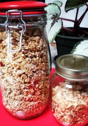Una foto de Granola Casera 