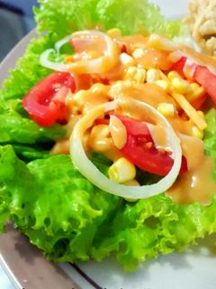 Foto resep Mix Veggie Salad