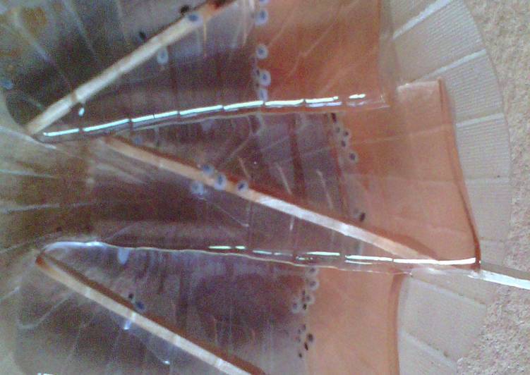 Bahan Jelly Stick | Cara Bikin Jelly Stick Yang Lezat Sekali