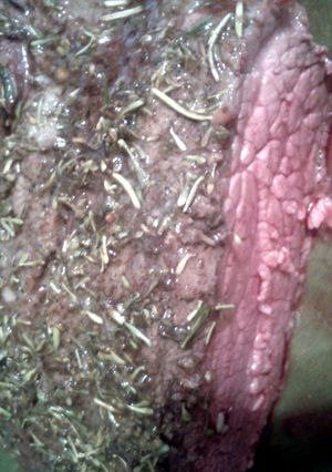 A picture of sirloin roast.